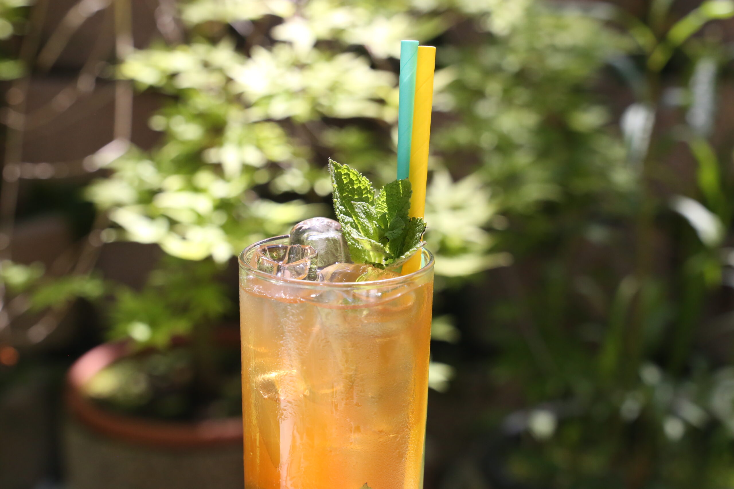 drink kokojoo energize